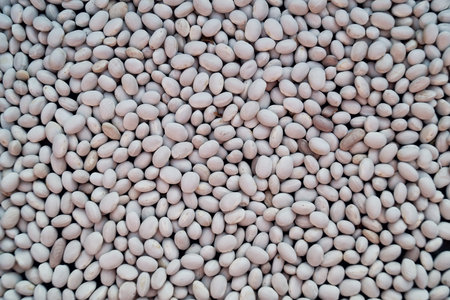 A lot of white beans as a texture background.