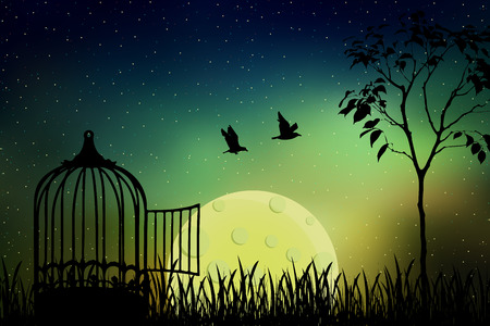 Birds couple escape from a cage, released to nature. Beautiful and positive vector illustration with the full moon and a starry sky background. Freedom and togetherness concept.のイラスト素材