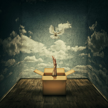 Surreal idea as a magical cardboard box opened and a mystic hand try to catch a pigeon escaping,...