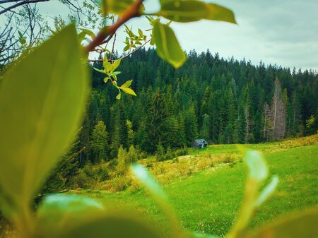 Picturesque spring mountains scene with wooden cabin cottage as seen through the greening tree leaves. Lush pasture with an old house on the valley surrounded by pine woods on the hills.の写真素材