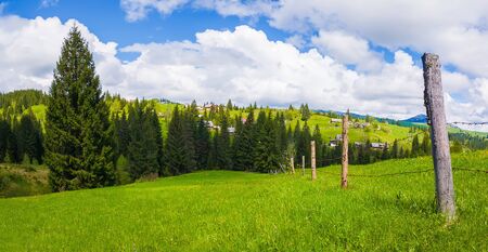 Typical Carpathians village landscape. Old fence made of wood pillars and barbed metallic wire across the farm on the green hills surrounded by coniferous forests in a sunny spring day.の写真素材