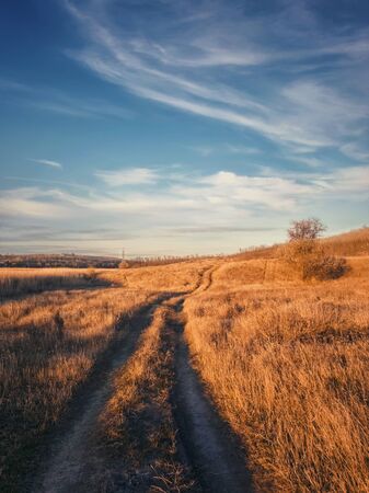 Vertical shot, late autumn scene with a dirt road crossing a dry grass field. Idyllic rural landscape, fall season mood, country track pathway across a  hay meadow, peaceful view.の写真素材