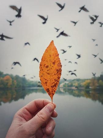 Male hand holding a yellow leaf against the cloudy sky with a flock of flying migratory birds....