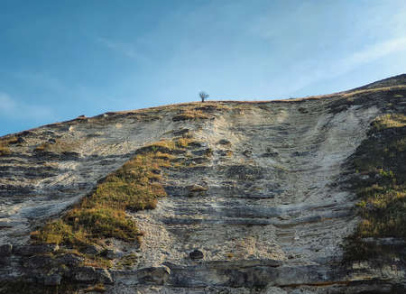Idyllic countryside view to a bare and lone tree on the top of the karst limestone hills at Orheiul Vechi, old Orhei complex, near Trebujeni village, Moldova. Autumn season natural landscapeの写真素材