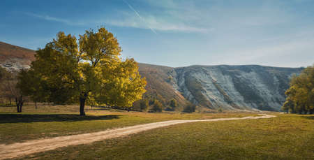 Idyllic countryside scene with a beautiful tree near a footpath and karst limestone hills on the background. Autumn season nature landscape at old Orhei complex, near Trebujeni village, Moldovaの写真素材
