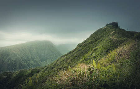 Upper Waikani Falls or Three Bears Waterfalls, the Road to Hana in Hawaii. Cascade in the jungle among tropical green vegetation. Wonderful scene in hawaiian dense rainforest with mixed fern plantsの写真素材