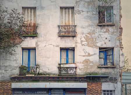 Abandoned building facade. Trees and bushes growing out of windows, rusted louvers and cracked concrete wallsの写真素材