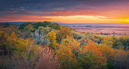 Colorful autumnal landscape. Beautiful view over the valley to the forest sunlit by the warm sunset light. Picturesque fall season sceneryの写真素材