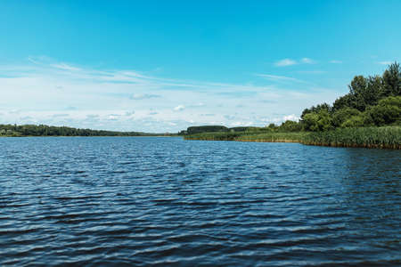 overgrown grassy shore, summer landscape with a calm river with water views of the lake and the shore from the waterの写真素材