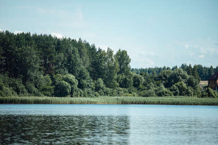 overgrown grassy shore, summer landscape with a calm river with water views of the lake and the shore from the waterの写真素材