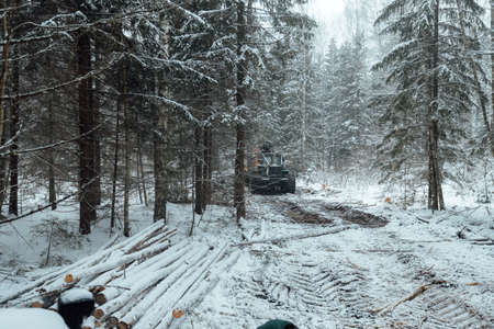 illegal logging, industrial excavator bucket grabs fallen trees and clears the road, harvesting raw materials for the woodworking industryの写真素材