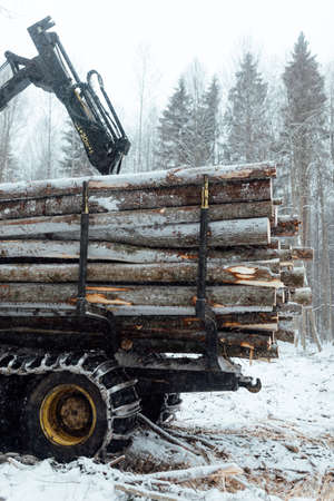 illegal logging, industrial excavator bucket grabs fallen trees and clears the road, harvesting raw materials for the woodworking industryの写真素材