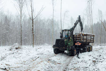 illegal logging, industrial excavator bucket grabs fallen trees and clears the road, harvesting raw materials for the woodworking industryの写真素材
