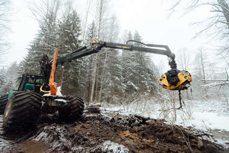 illegal logging, industrial excavator bucket grabs fallen trees and clears the road, harvesting raw materials for the woodworking industryの写真素材