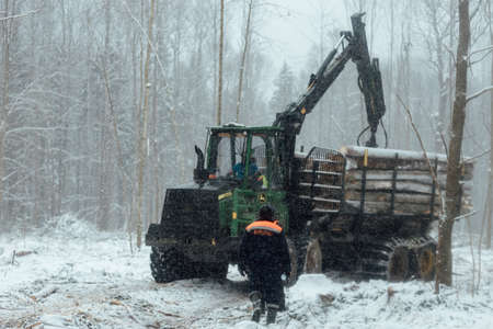 illegal logging, industrial excavator bucket grabs fallen trees and clears the road, harvesting raw materials for the woodworking industryの写真素材
