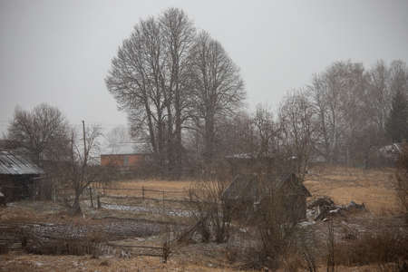 a winter snow-covered field with sparsely growing trees, a beautiful calm country landscape of nature without the presence of a personの写真素材