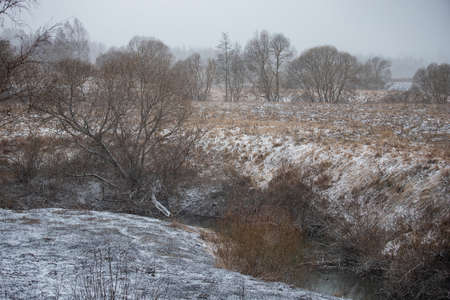 a winter snow-covered field with sparsely growing trees, a beautiful calm country landscape of nature without the presence of a personの写真素材