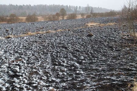 ash and snow lie on the black charred ground after a forest fire, a natural disaster and environmental damage, fallen burned tree trunksの写真素材