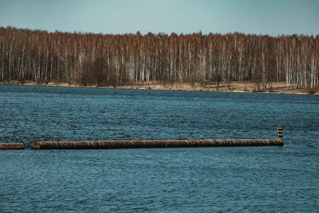 Wooden pier on the shore of the lake in the forest.の写真素材