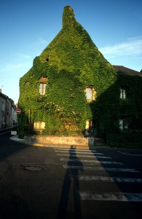 Green facade of an old house in Franceのeditorial素材