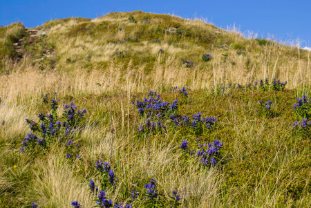 Bieszcady Mountains is one of the wildest regions of Poland (Europe), National Park area and UNESCO  Worldwide Biosphere Reserve regionの写真素材