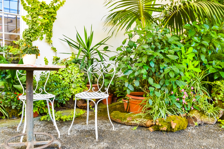 Beautiful garden, French style , Kvetna Zahrada, Kromeriz in Czech Republicの写真素材