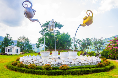 Beautiful fresh green oolong tea field plantation Wang Put Tan Tea Plantation, Mae Salong near Chiang Rai, North of Thailand in Asiaの写真素材
