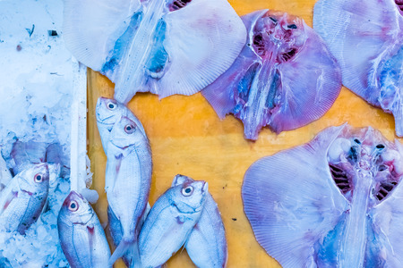Seafood on ice at the traditional fish market of Tetouan city in Morocco in Africaの写真素材