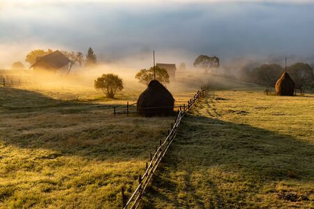 Beautiful mountain landscape in autumn morning near Rodnei Mountains National Park, Romania.の写真素材