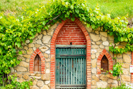 Traditional Wine Cellars - Vrbice, Czech Republic, Europeの写真素材