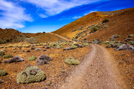Trek through Las Canadas National park, Pico del Teide, Tenerifeの写真素材