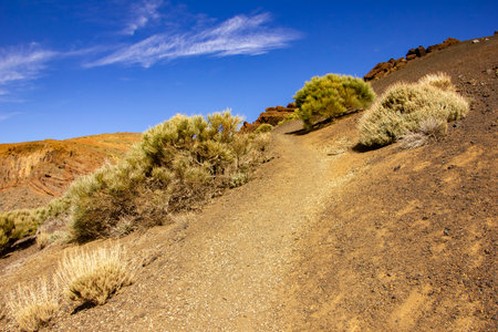 Trek through Las Canadas National park, Teide National Park, Tenerife, Spainの写真素材