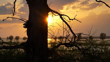 Sunset over spring flooded meadowsの写真素材