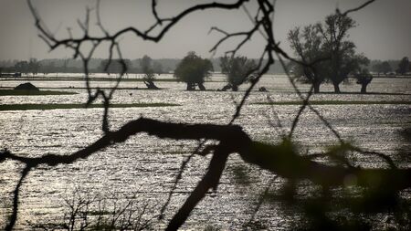Storm, wind, rain, trees and sunshine on the waterの写真素材