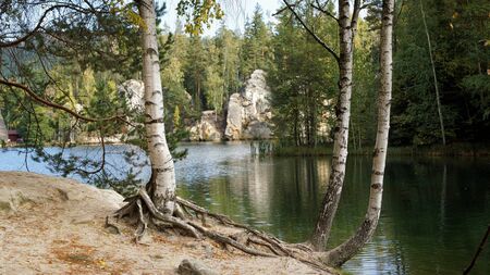 Birches on the shores of a mountain lake in The AdrÅ¡pach-Teplice Rocks, Bohemia, Czech Republic, sandstone formationsの写真素材