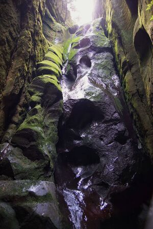 Wet black rocks, former waterfall in a rock niche in The AdrÅ¡pach-Teplice Rocks, sandstone formations in northeastern Bohemia, Czech Republicの写真素材