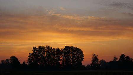 September morning, silhouettes of trees against the background of the rising sun, colors fuzzy background and copy spaceの写真素材