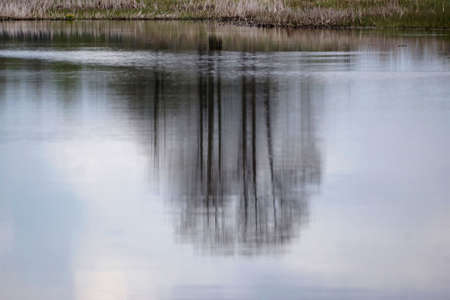 April in the Biebrza valley, river bank and reflection of the trunks of leafless trees in the water, copy spaceの写真素材