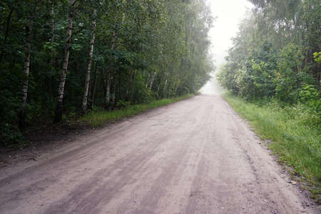 June dawn, misty landscape, empty road among trees, forest and fogの写真素材