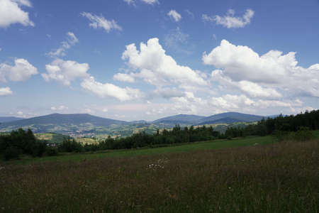 July in the Beskids, view from a mountain meadow on the forest, peaks and valleys, landscapeの写真素材