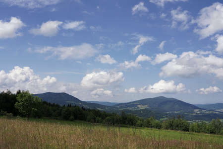 July in the Beskids, view from a mountain meadow on the forest, peaks and valleys, landscapeの写真素材