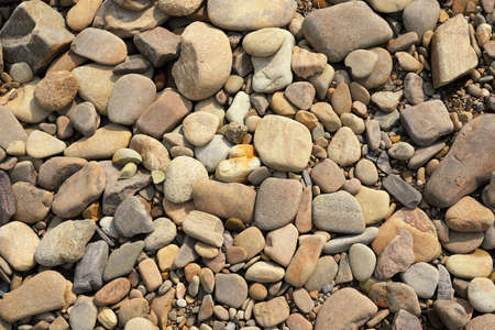 Summer day by the river, stones of different sizes on the riverbank, close-upの写真素材