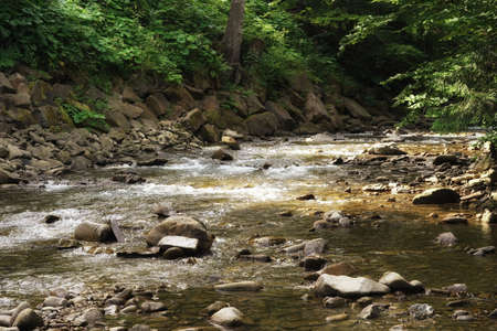 Summer in the Gorce, wet stones in a fast mountain river, rocks and plants on the shoreの写真素材