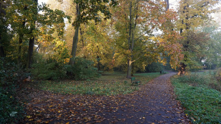 morning walk in the autumn park, colorful leaves, benches and park pathsの写真素材