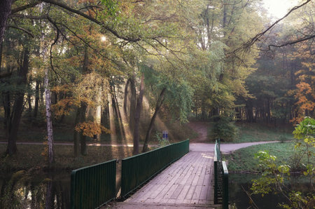morning in the park, foggy beginning of the autumn day, sunshine from behind the tree trunks, park bridge over the riverの写真素材