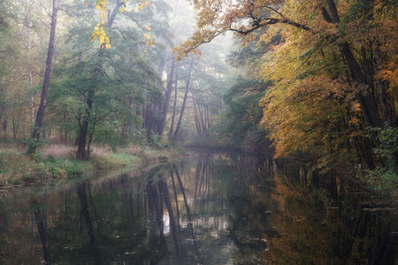 colorful autumn trees and leaves reflected in the river waterの写真素材