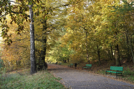 the paths of the autumn park, colorful trees, benchesの写真素材