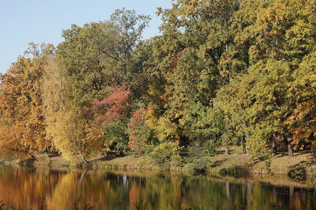 October morning in the park, the bank of the pond, the colorful leaves of the trees, the colors of autumn and the reflections in the waterの写真素材