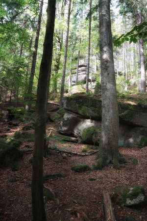September in the Giant Mountains, mossy rocks on a slope in a mountain forest, autumn landscapeの写真素材