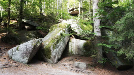 September in the Giant Mountains, mountain spruce forest, trees and rocks covered with moss, autumn landscapeの写真素材